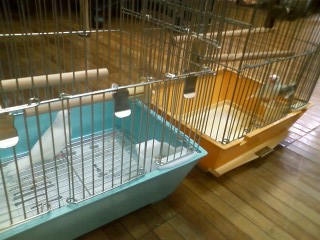 100705_1415~01.jpg